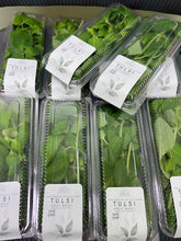 Load image into Gallery viewer, Fresh Holy Basil - Tulsi