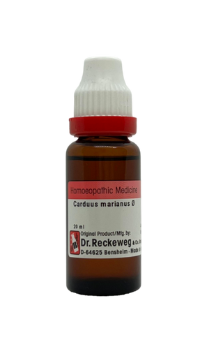 Carduus marianus Q