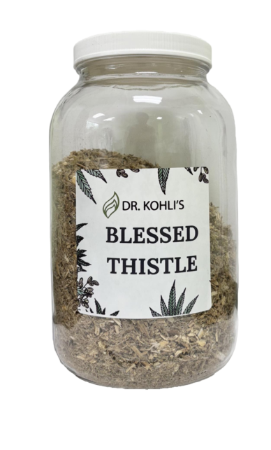 Blessed Thistle