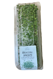 Fresh Broccoli Sprouts