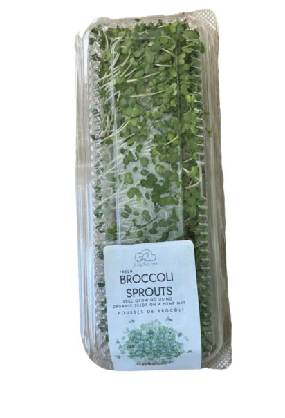 Fresh Broccoli Sprouts