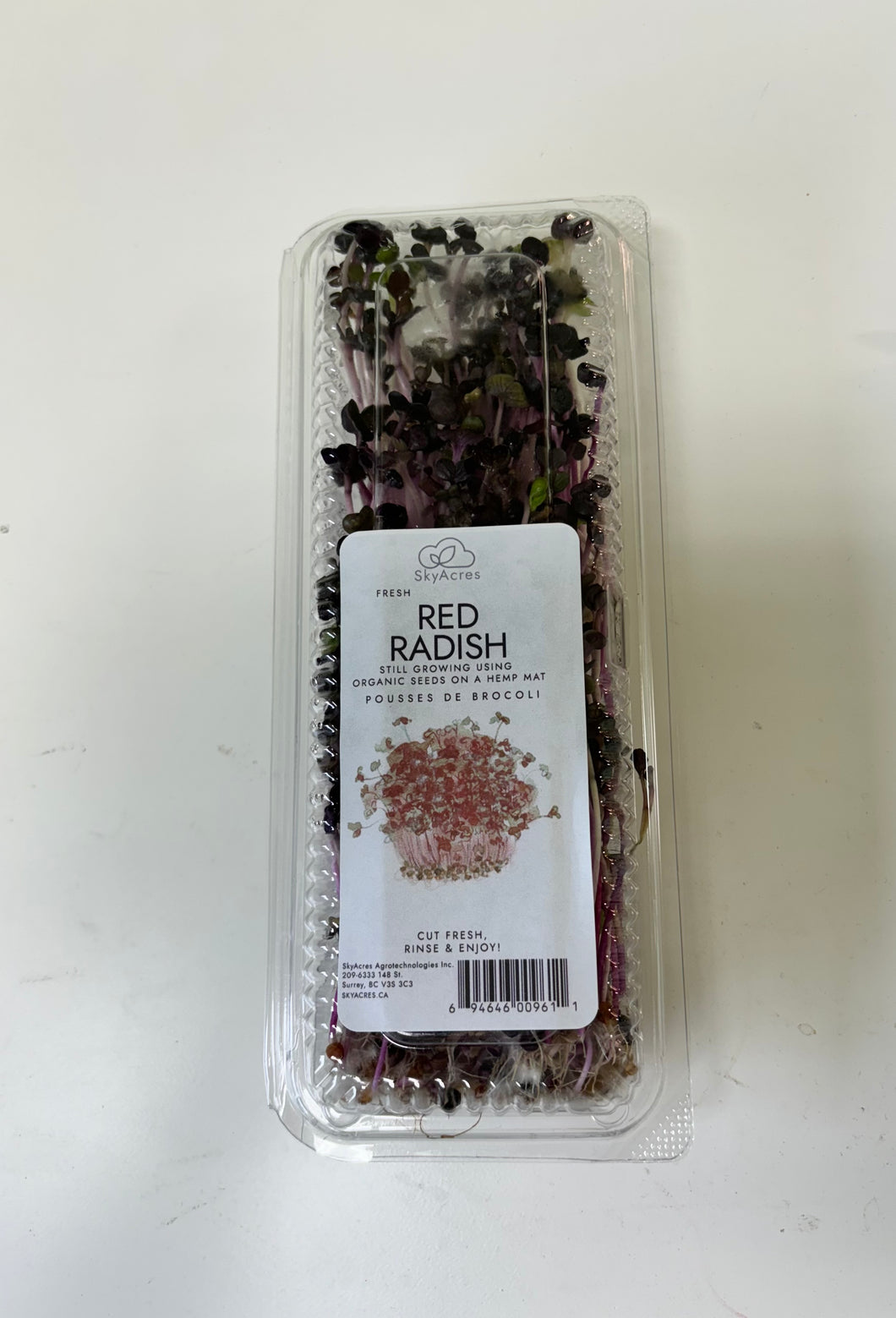 Red Radish Micro Greens