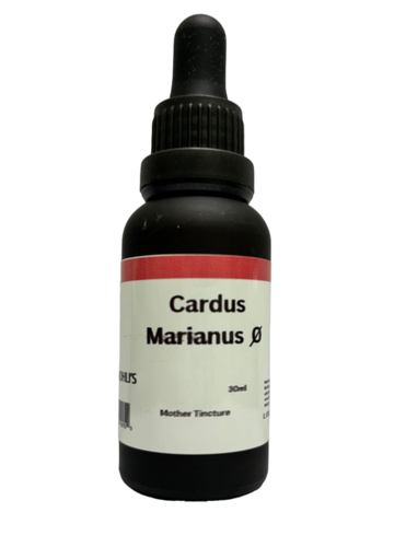 Carduus marianus Q