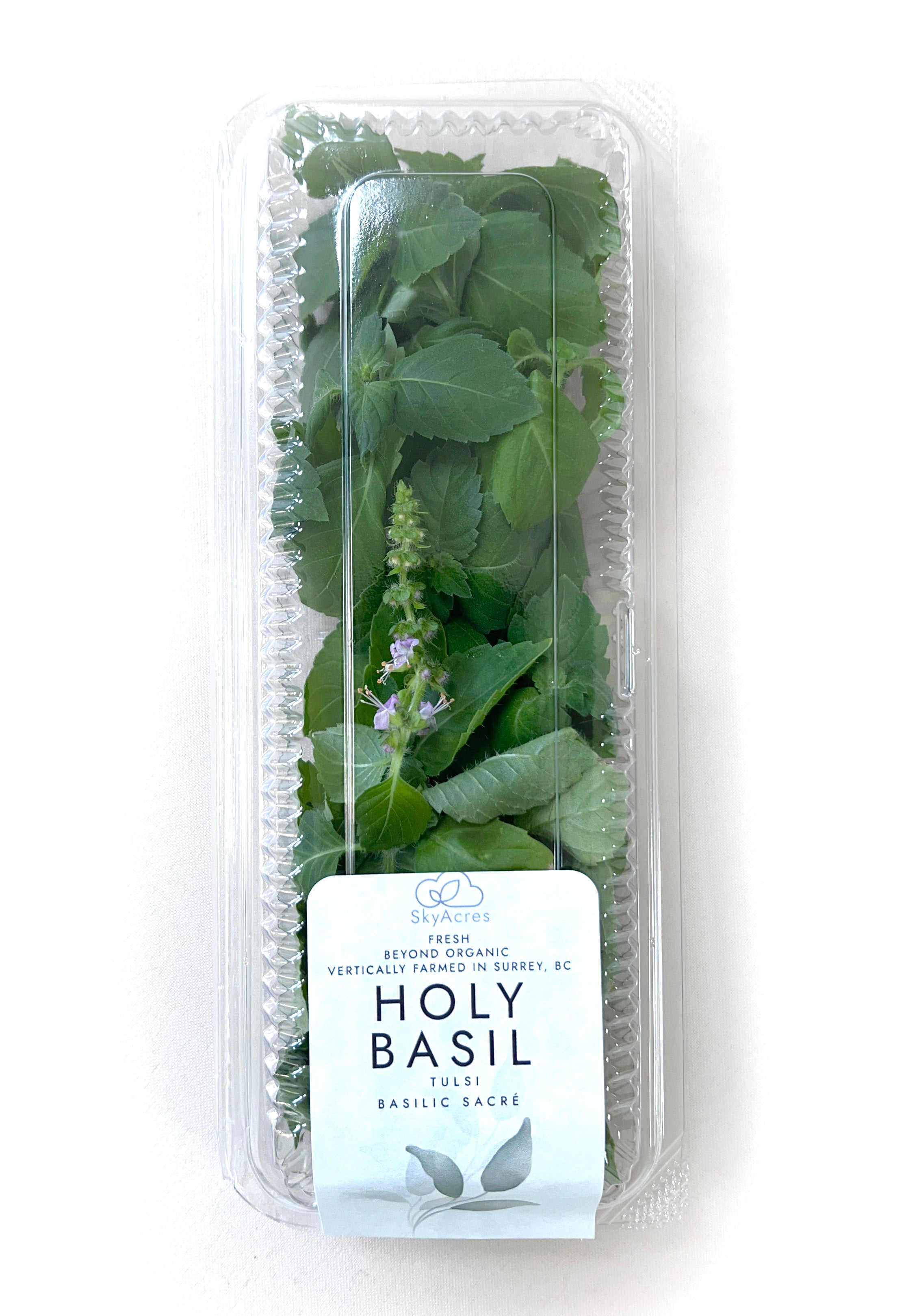 Fresh Holy Basil Tulsi