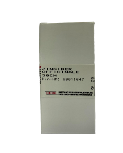 Zingiber Officinale